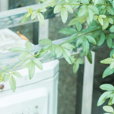 bd体育app官方下载